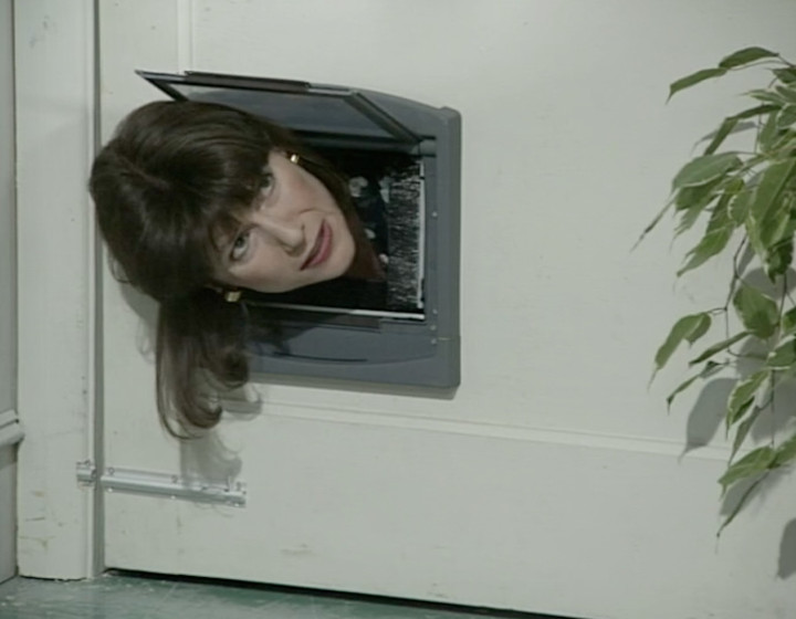 Bill with her head through a catflap