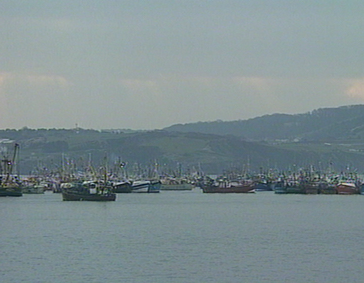 Colour, lots of ships wide shot