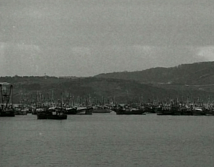 B&W, lots of ships wide shot