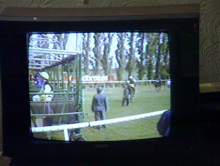 Onslow watching the horse racing